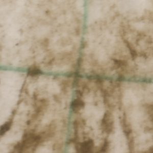 Trial1_Dirty_Water