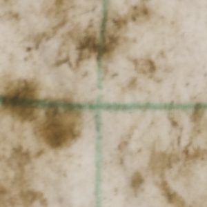 Trial2_Dirty_Water
