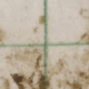 Trial3_Dirty_Milk
